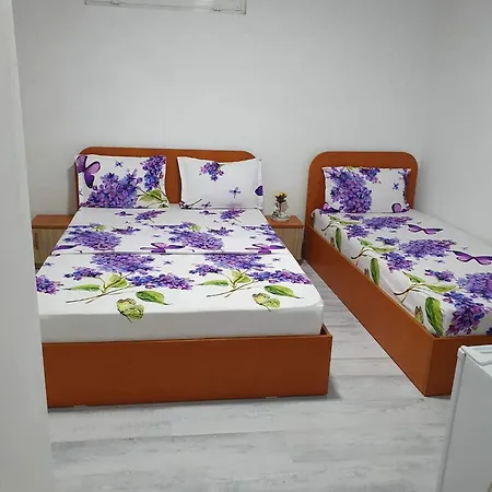 Casa Sofia * Eforie Nord