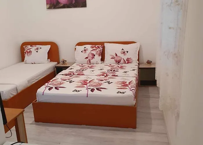 招待所 Casa Sofia *