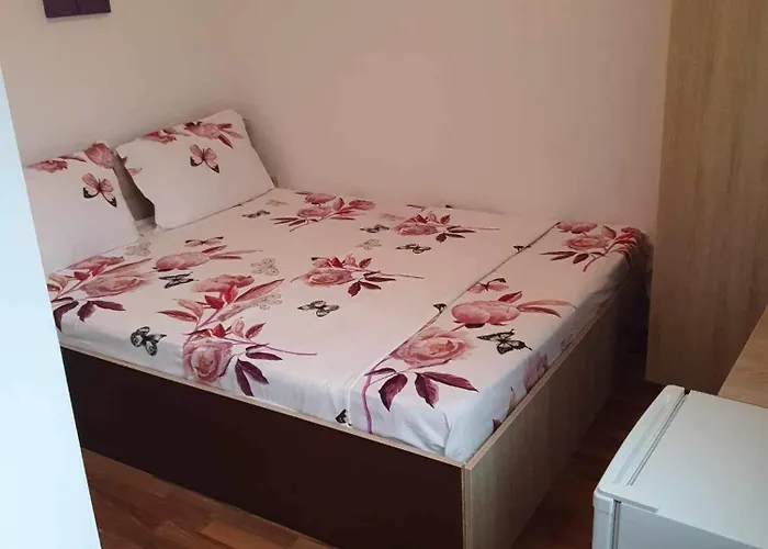 Casa Sofia 招待所