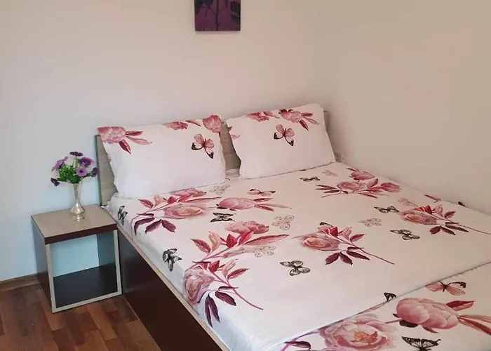 招待所 Casa Sofia *